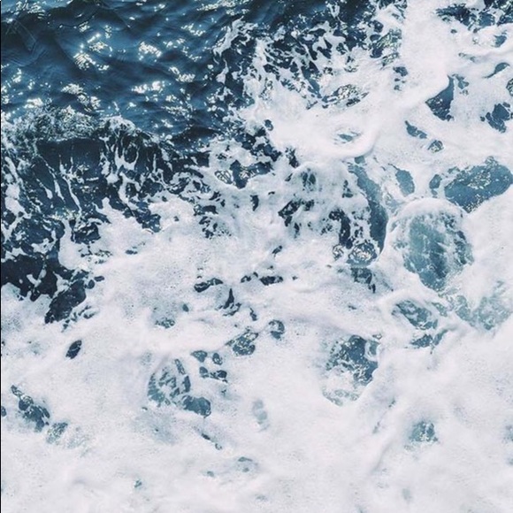 Meet your Posher, Violet - Picture 1 of 1